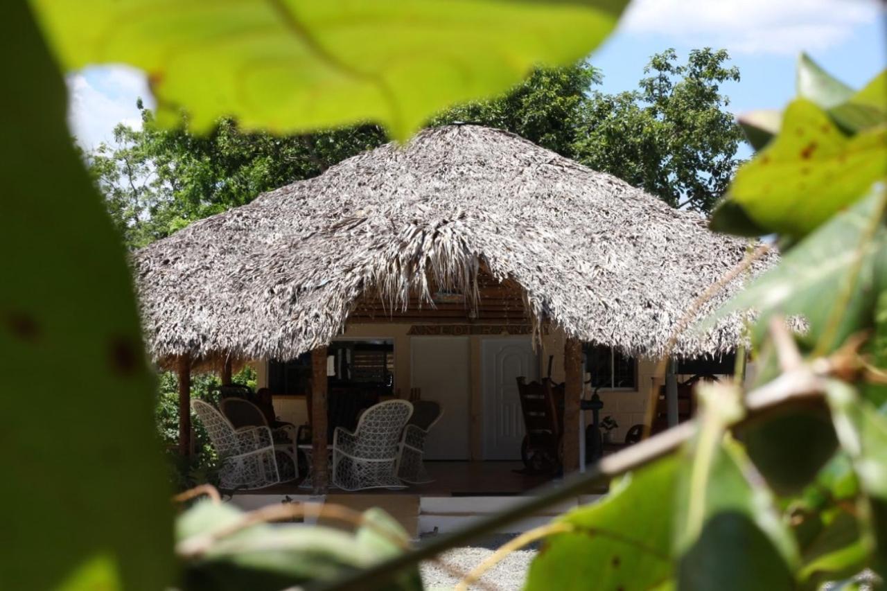 Hotel Anedi Concepcion de La Vega Luaran gambar